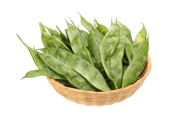 Hyacint bean — Stockfoto