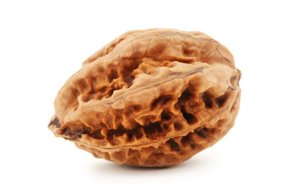 Walnuts — Stock Photo, Image