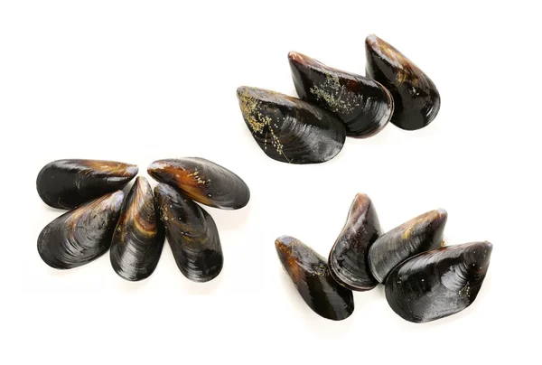 Frutti di mare: Cozze — Foto Stock