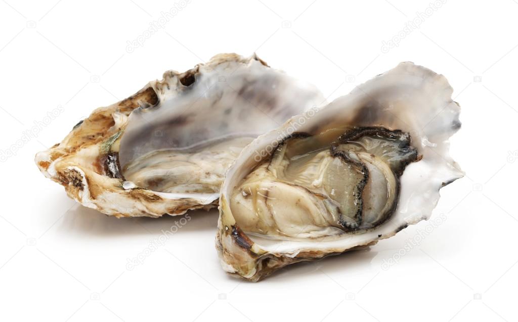 Opened oyster