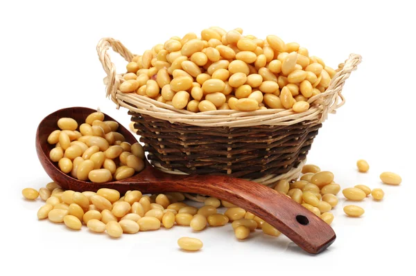 Soybean — Stock Photo, Image