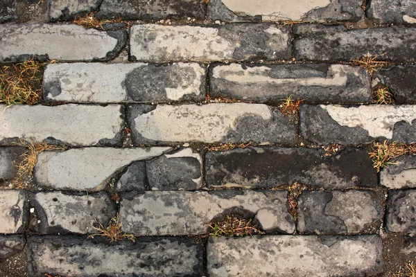 Forbidden city brick wall — Stock Photo, Image