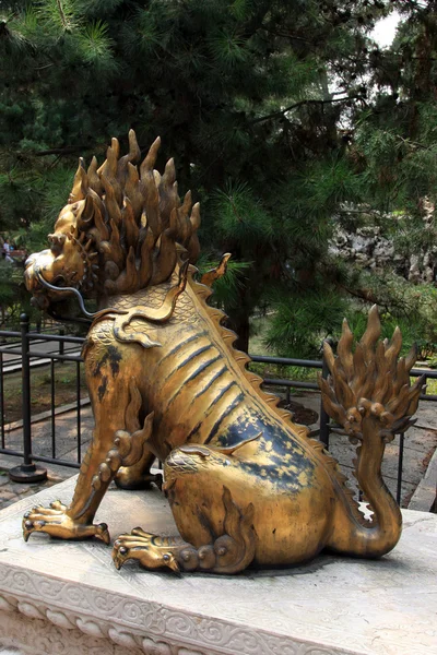 Чёрный лев в Запретном городе — стоковое фото