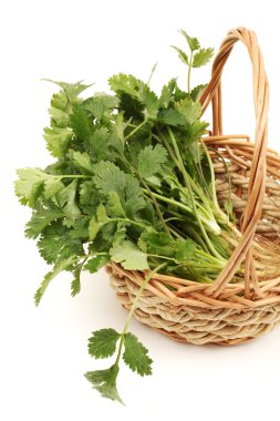 Beyaz arkaplanda maydanoz