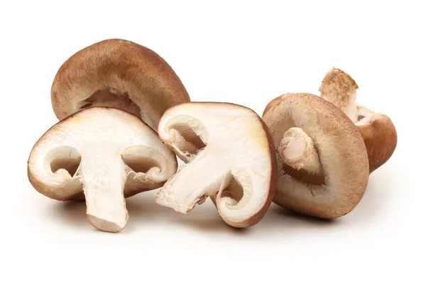 Fungo Shiitake sullo sfondo bianco — Foto Stock