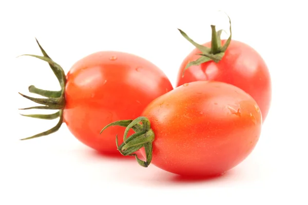 Tomate — Foto de Stock