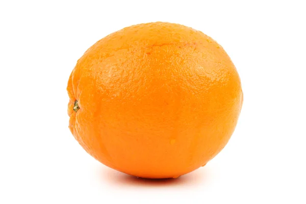 Oranje op de witte achtergrond — Stockfoto