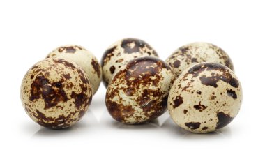 Beyaz arka planda bıldırcın yumurtaları
