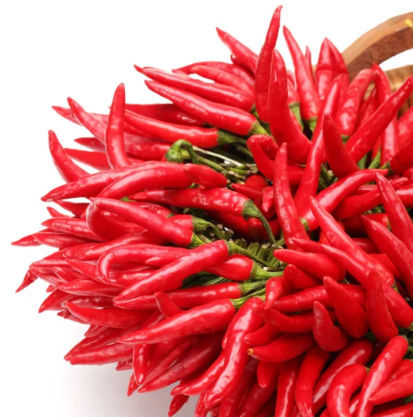 Red hot pepper — Stock Photo, Image