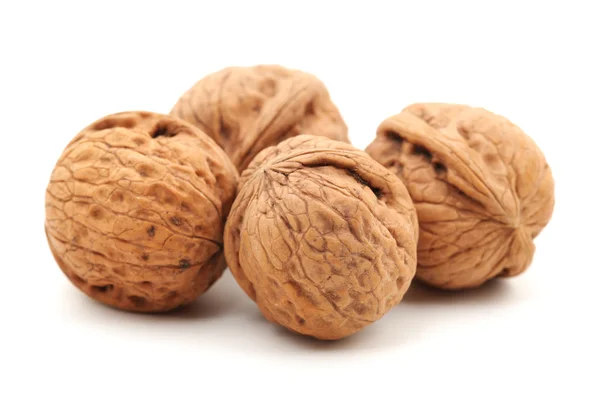 Walnut on white background — Stock Photo, Image