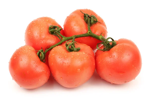 Tomate fraîche rouge sur fond blanc — Photo