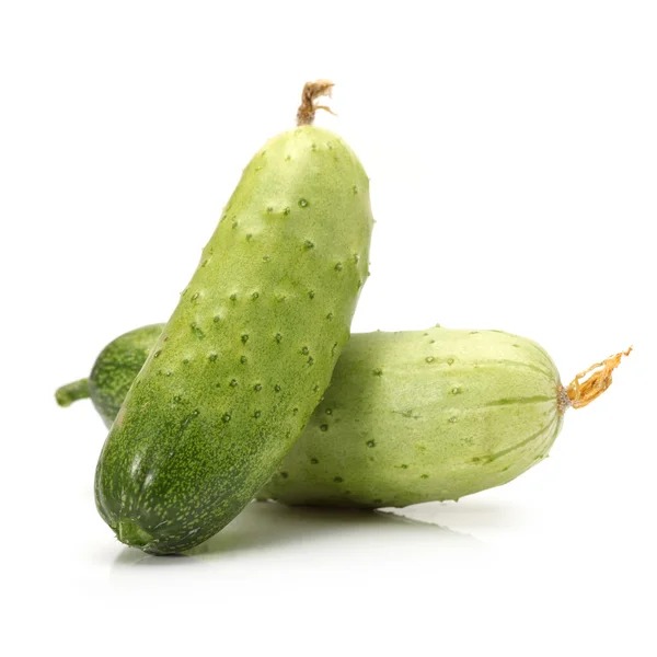 Green cucumber on the white background — Stock Photo, Image
