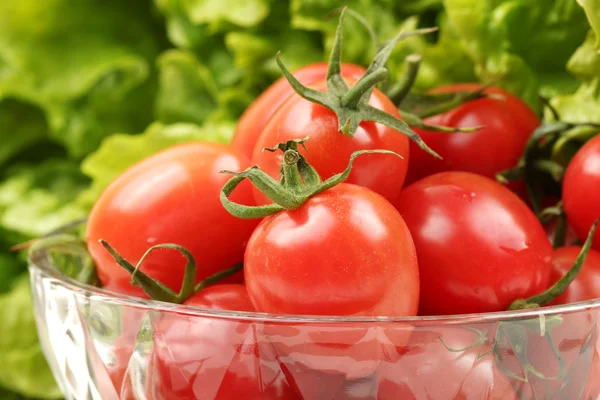 Small cherry tomato background — Stock Photo, Image