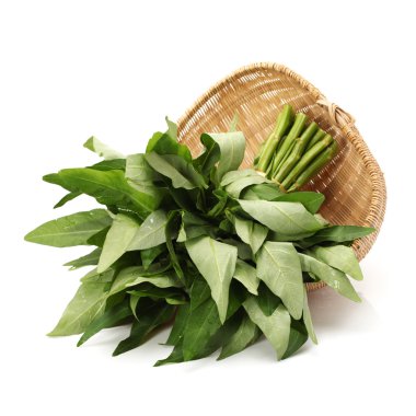 Beyaz arkaplanda izole edilmiş su ıspanağı