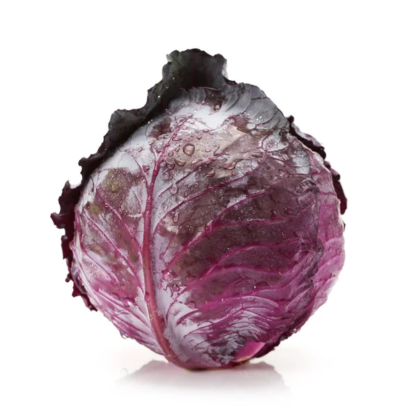 Fresh red cabbage with water drops isolated on white background — Stock Photo, Image