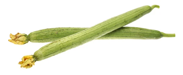 Fresh loofah on the white background — Stock Photo, Image