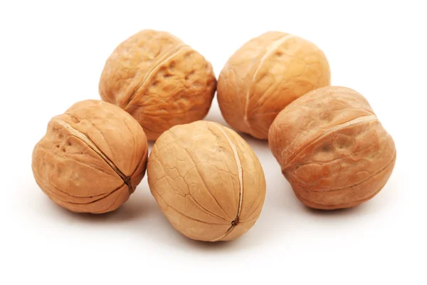 Walnut on white background — Stock Photo, Image