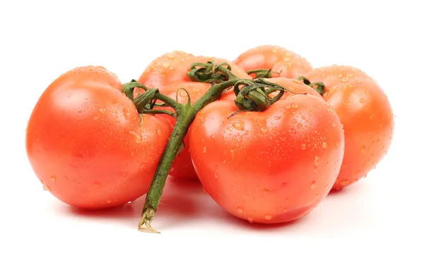 Beyaz zemin üzerine kırmızı taze domates — Stok fotoğraf