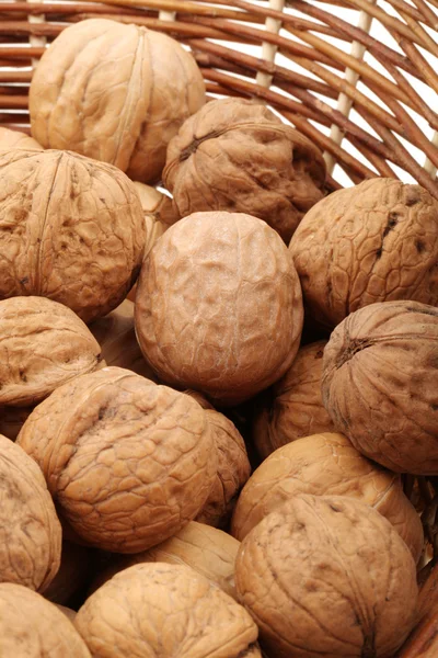 Walnut on white background — Stock Photo, Image