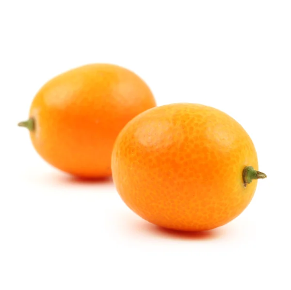 Kumquat close up isoliert auf weiß — Stockfoto