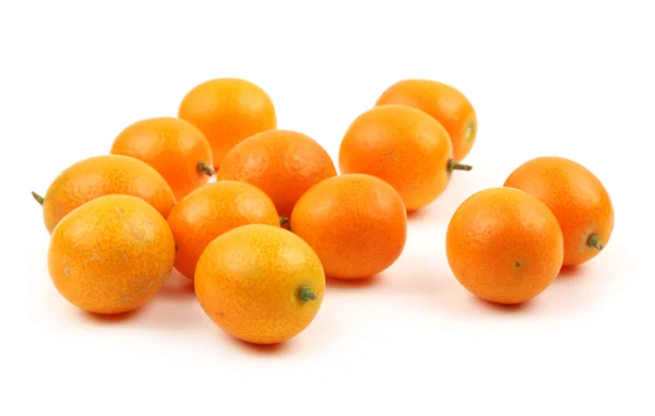 Kumquat primer plano aislado en blanco — Foto de Stock