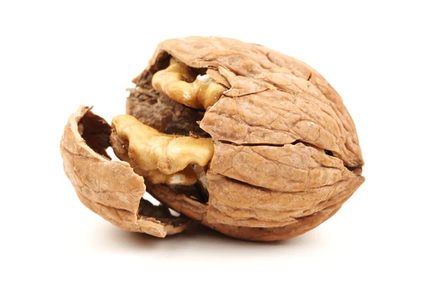 Whole walnut isolated on white background — Stock Photo, Image