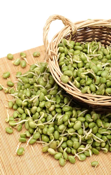 Brotes de soja verde sobre fondo blanco — Foto de Stock