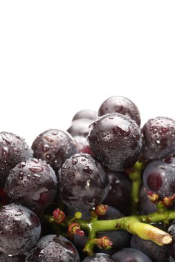 beyaz zemin üzerinde üzüm