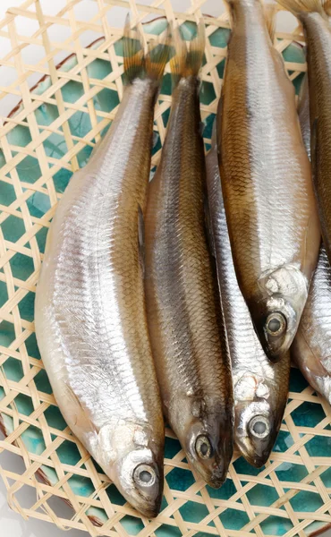 Makanan ikan, latar belakang makanan . — Stok Foto