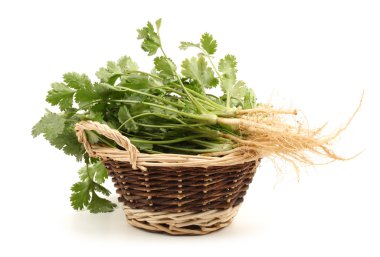 Beyaz arkaplanda maydanoz