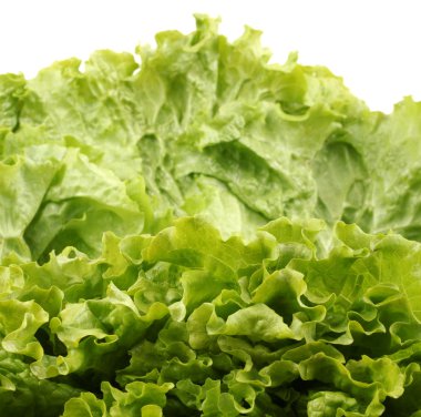 Beyaz bir arka plan üzerinde izole yeşil salata