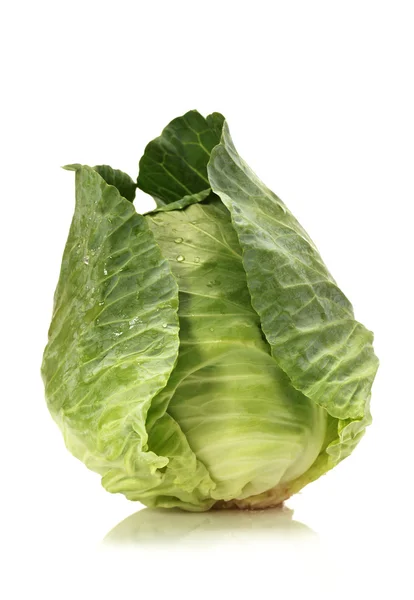 Green cabbage isolated on white background — Stock Photo, Image