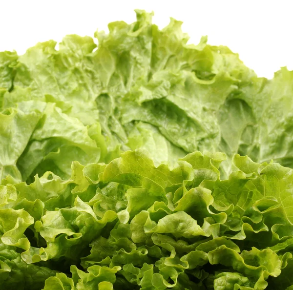 Green salad isolated on a white background — Stock Photo, Image