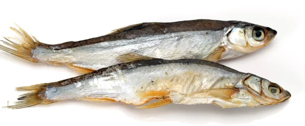Suszone ryby na białym tle — Zdjęcie stockowe