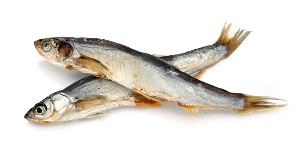 Peces secos aislados sobre fondo blanco — Foto de Stock