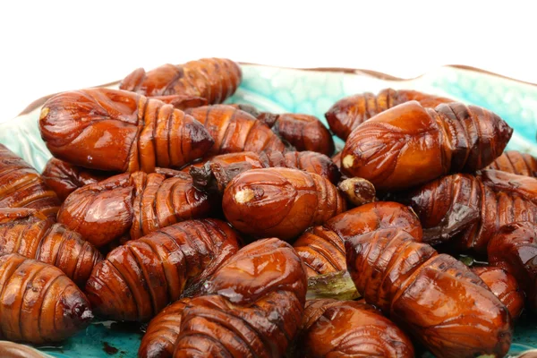 Stir-Fried pupa isolated on white background — Stock Photo, Image