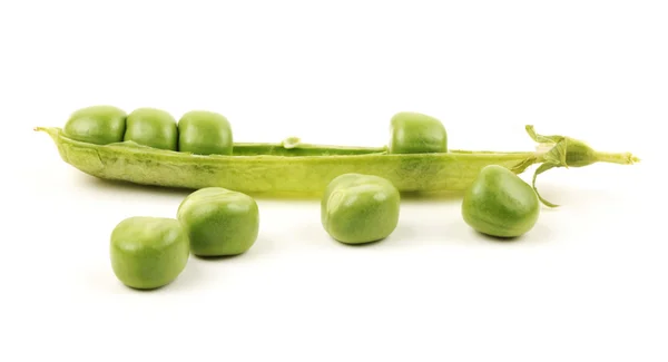 Ripe pea vegetable. Isolated on white background — Stock Photo, Image