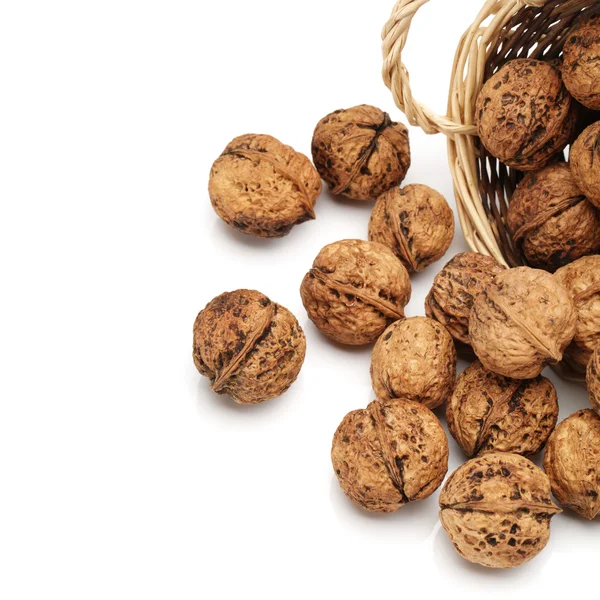 Walnut on white background — Stock Photo, Image