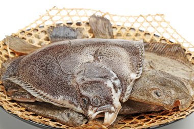 Turbot fish on white background clipart