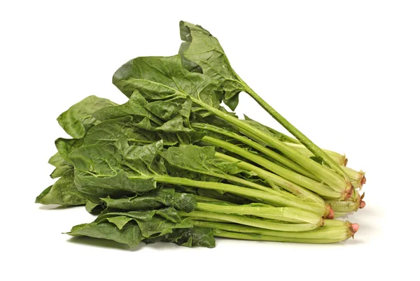 Spinach on white background — Stock Photo, Image