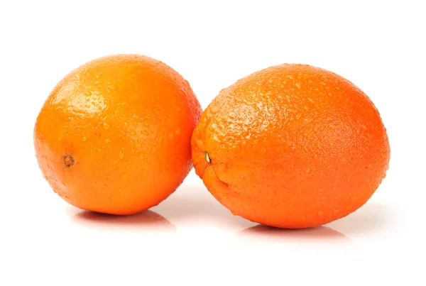 Orange på den vita bakgrunden — Stockfoto