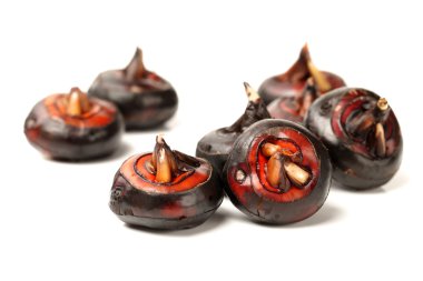 beyaz zemin üzerine su kestane