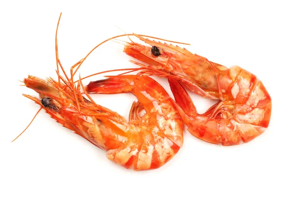 Shrimps on a white background — Stock Photo, Image