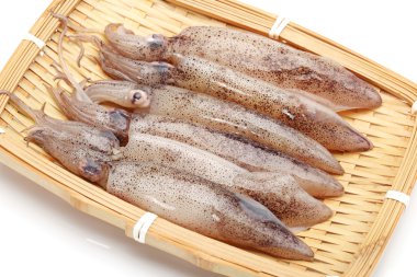 taze mürekkep balığı yakaladım