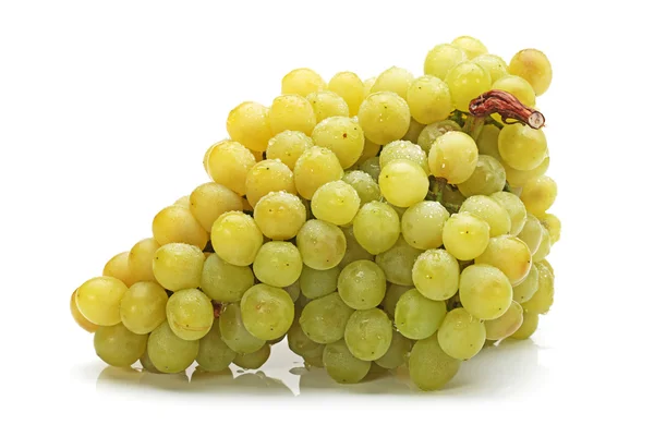 Cacho de uvas frescas no fundo branco — Fotografia de Stock