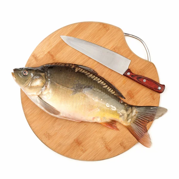 Carpa de pescado crudo — Foto de Stock