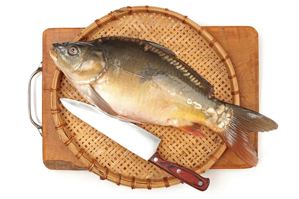 Carpa de peixe em bruto — Fotografia de Stock