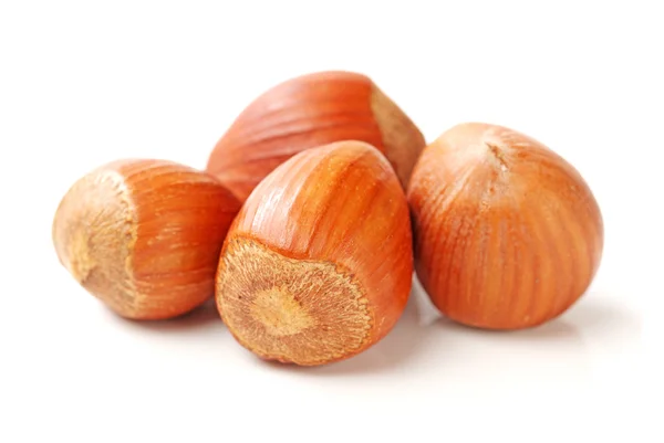 Hazelnut — Stock Photo, Image