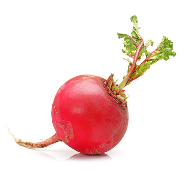 Fresh radishes isolated on white