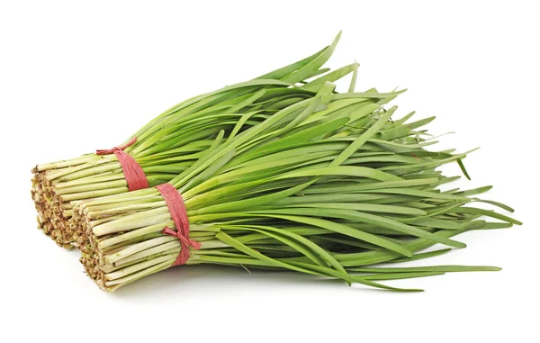 Leek on white background — Stock Photo, Image